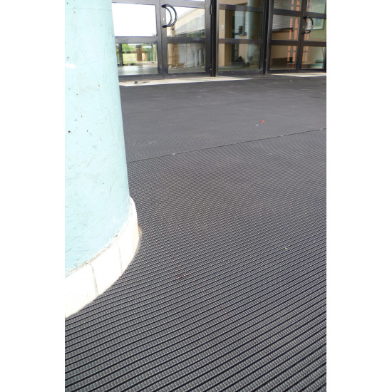 P1000720-550x550h P1000720-550x550h