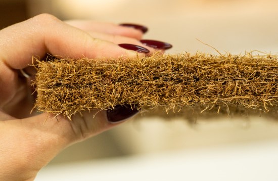 shutterstock_1557610094-550x550w