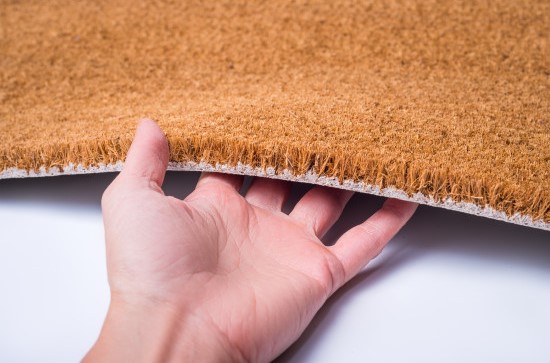 shutterstock_1877081080-550x550w